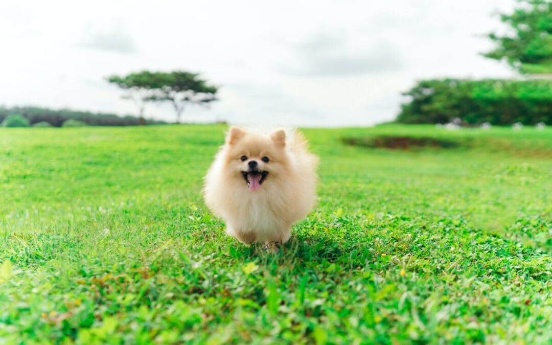 The Dreaded “O” Word