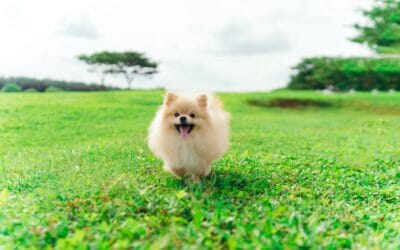 The Dreaded “O” Word